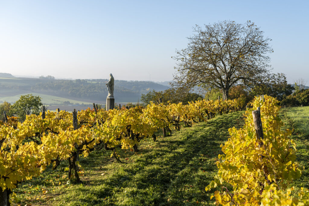 Anrosey Gîte Contact en Reserveren