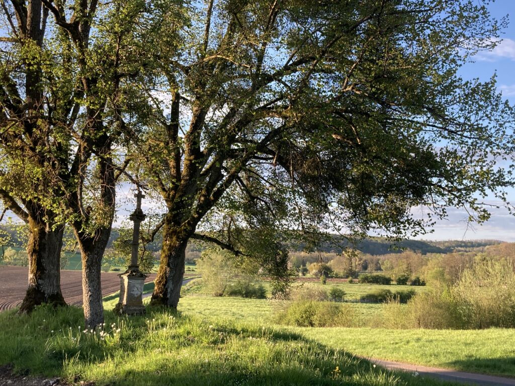 Vakantiehuisje Gîte Fleur de Vie